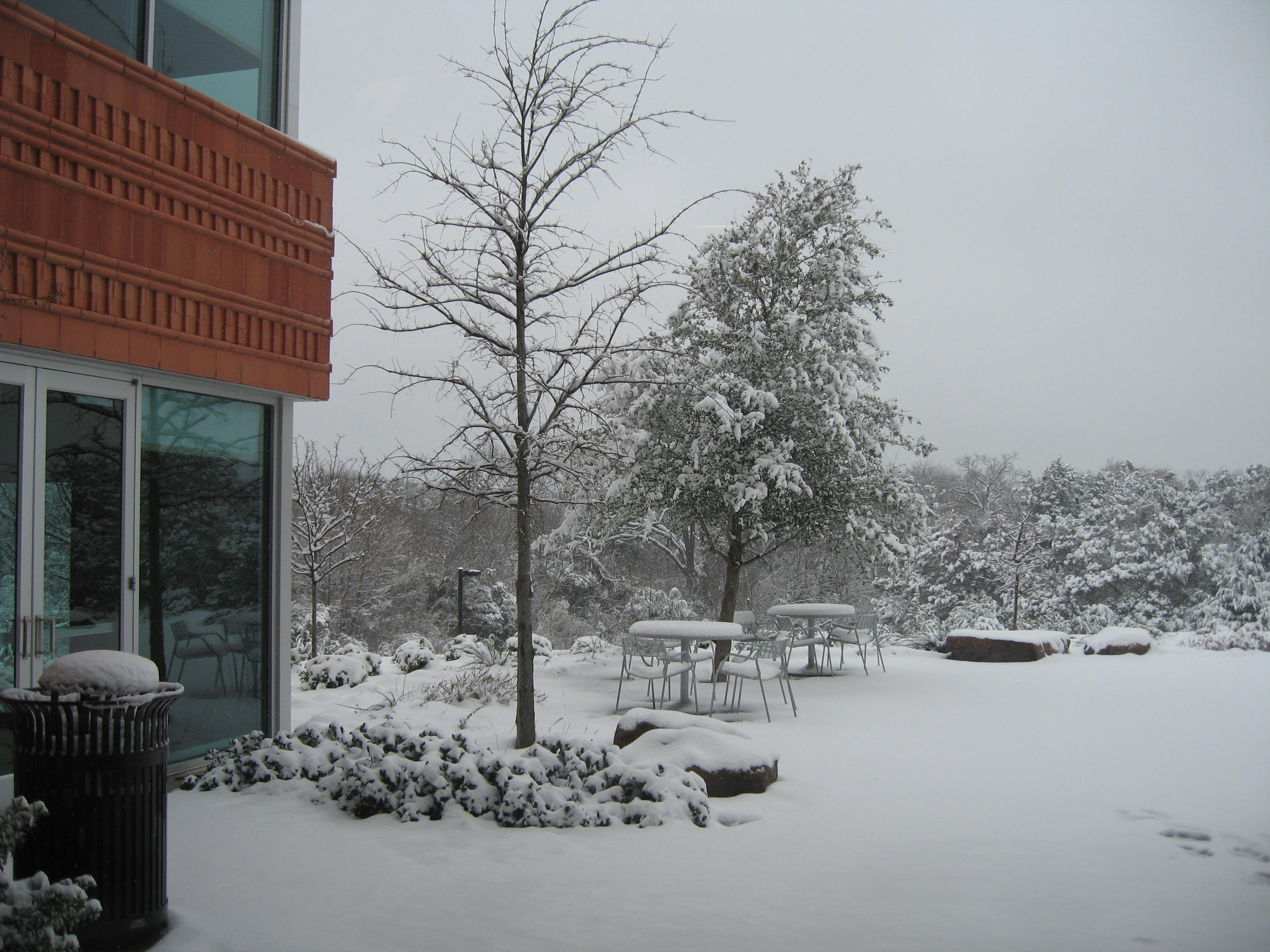 10.02.11 cedar hill snow scenes 026